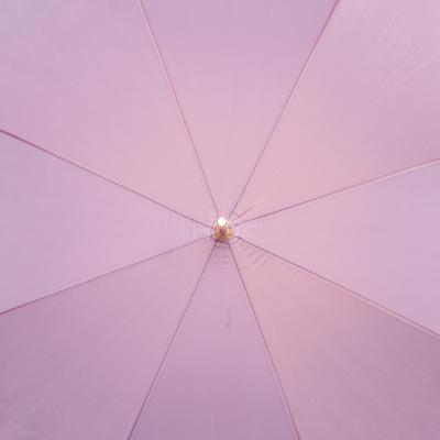 Зонт Pasotti C0177