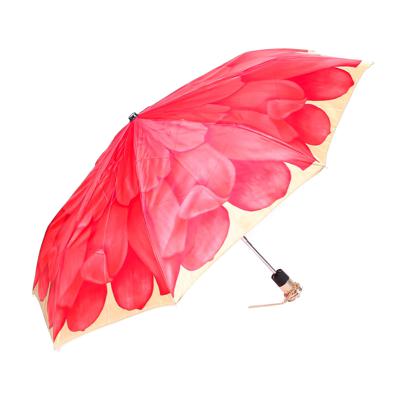 Зонт Pasotti T2525